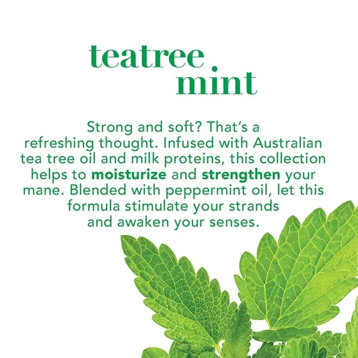 OGX Extra Strength Tea Tree Mint Shampoo 385ml-3 OGX Extra Strength Tea Tree Mint Shampoo 385ml-3