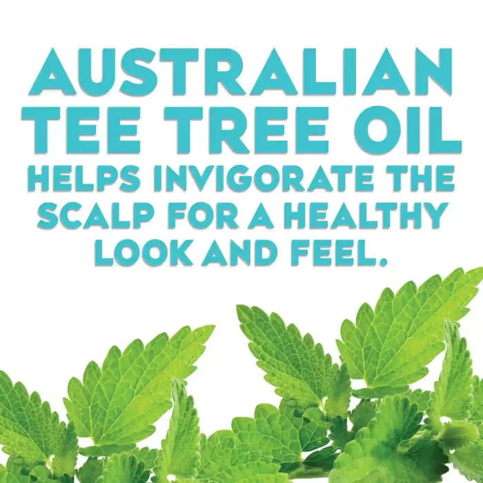 OGX Extra Strength Tea Tree Mint Shampoo 385ml-4 OGX Extra Strength Tea Tree Mint Shampoo 385ml-4